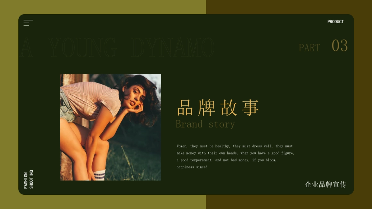 法式欧美风ppt-40(RDL)_第9页