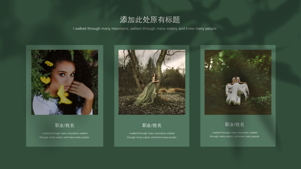 法式欧美风ppt-42(RDL)_第8页