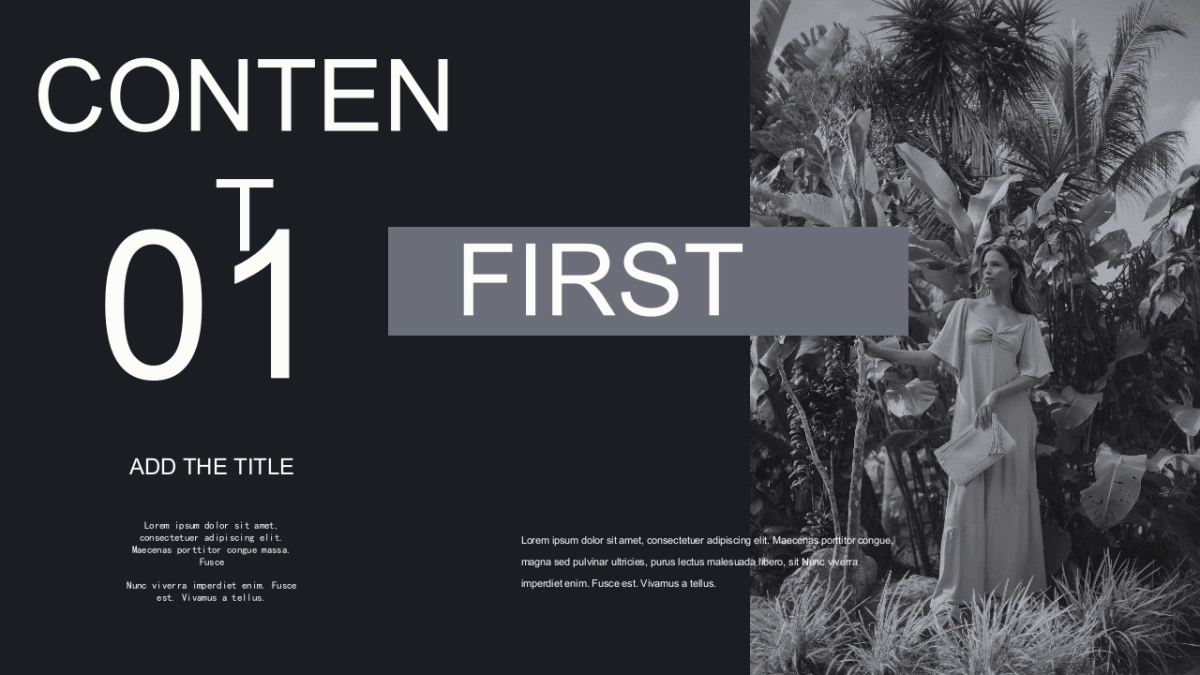 法式欧美风ppt-44(RDL)_第5页