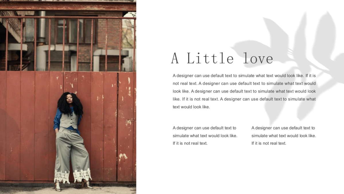 法式欧美风ppt-45(RDL)_第4页