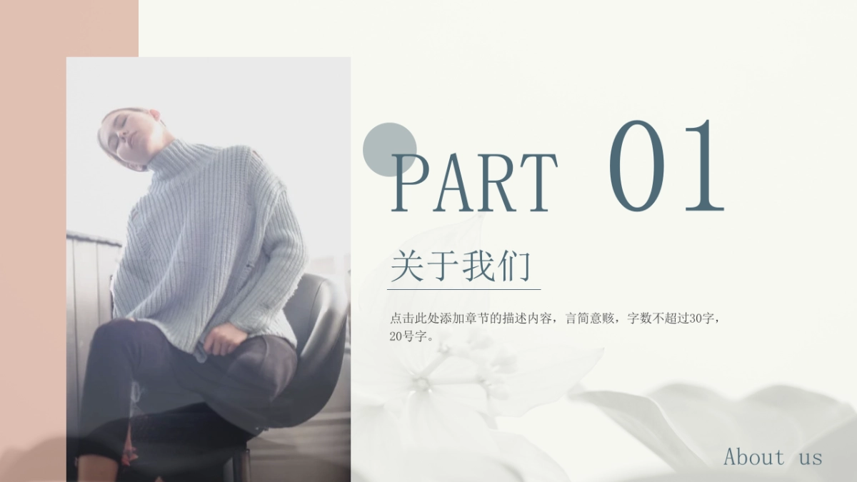 法式欧美风ppt-46(RDL)_第3页