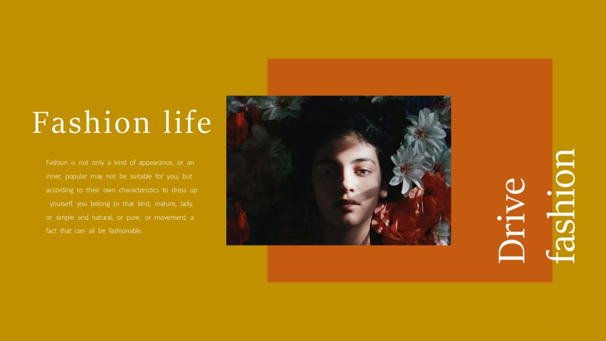 法式欧美风ppt-49(RDL)_第3页