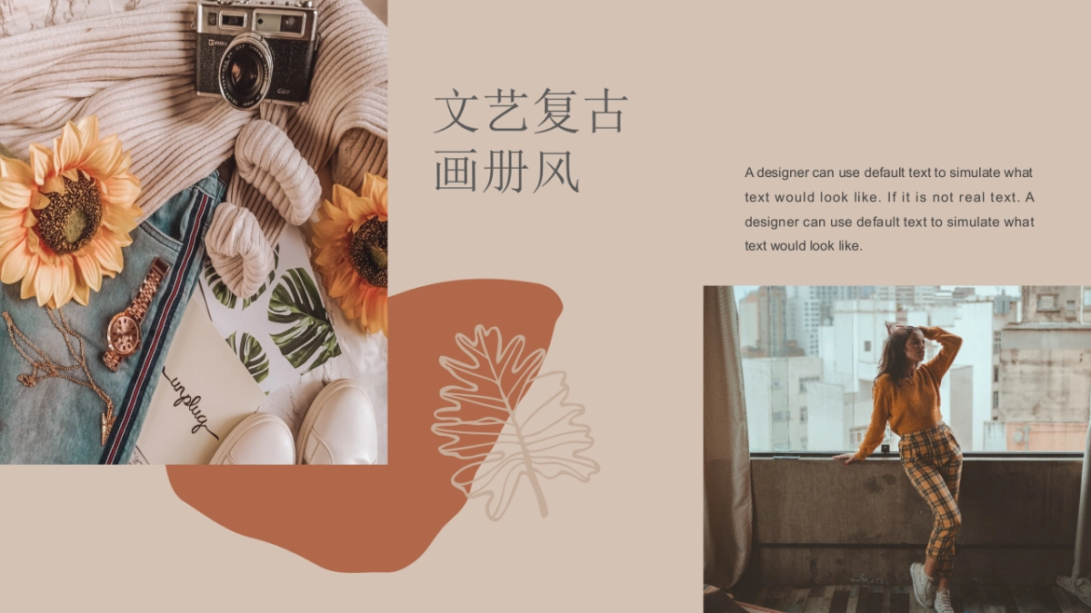 法式欧美风ppt-51(RDL)_第10页