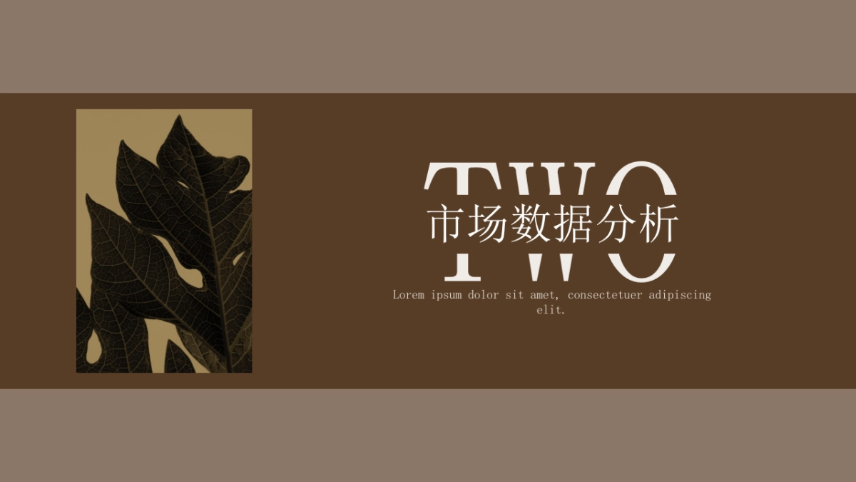 法式欧美风ppt-53(RDL)_第7页