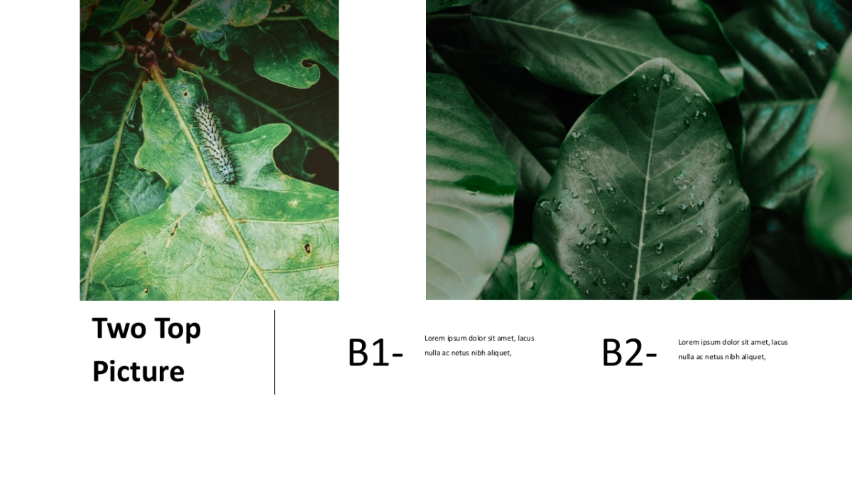 法式欧美风ppt-55(RDL)_第8页