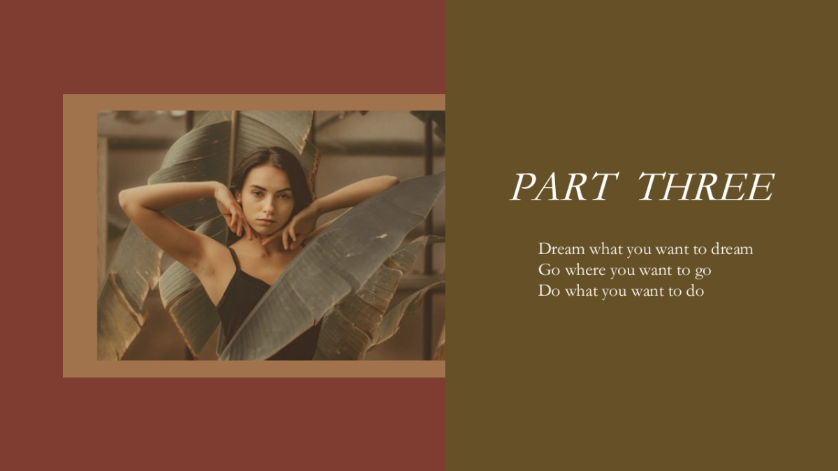 法式欧美风ppt-58(RDL)_第9页