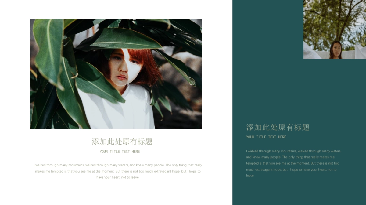 法式欧美风ppt-61(RDL)_第10页