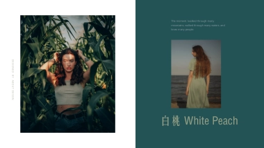 法式欧美风ppt-61(RDL)