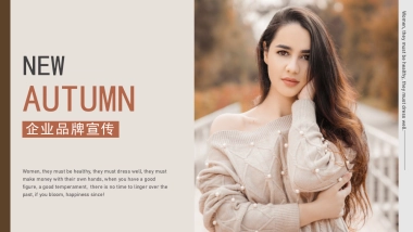 法式欧美风ppt-63(RDL)