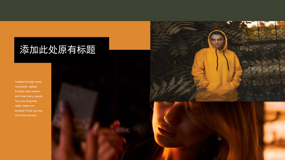 法式欧美风ppt-65(RDL)_第10页