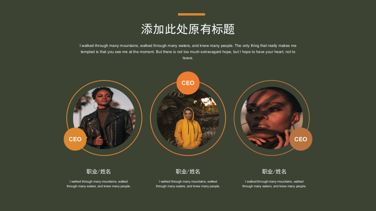 法式欧美风ppt-65(RDL)_第3页