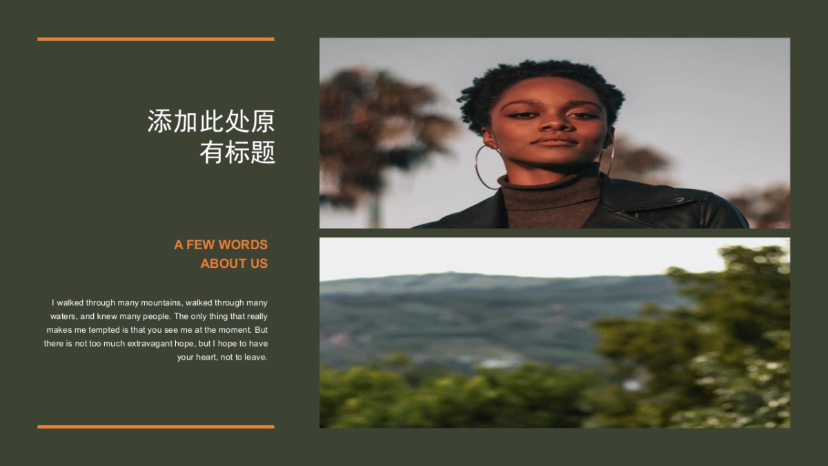 法式欧美风ppt-65(RDL)_第4页