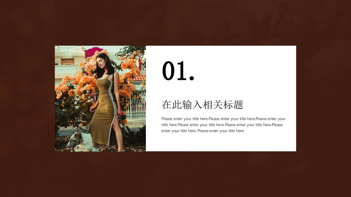 法式欧美风ppt-66(RDL)_第3页