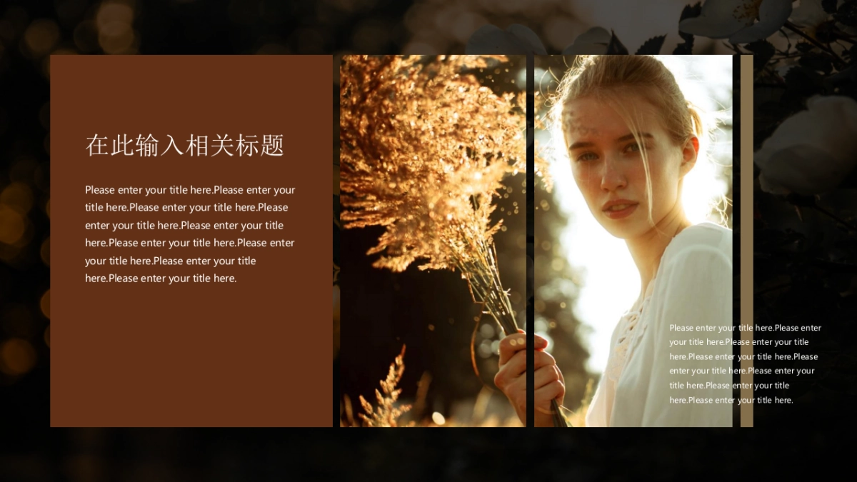 法式欧美风ppt-66(RDL)_第7页