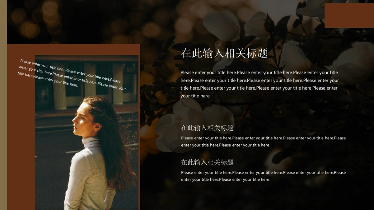 法式欧美风ppt-66(RDL)_第8页