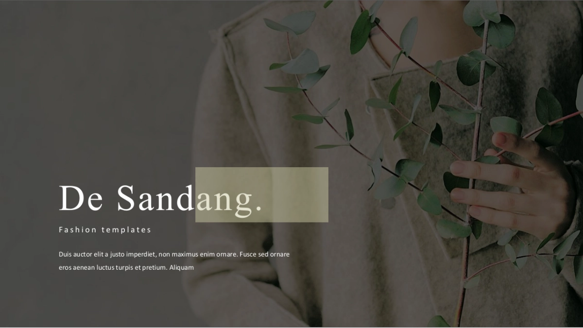 高端莫兰迪风格PPT模板3_第1页