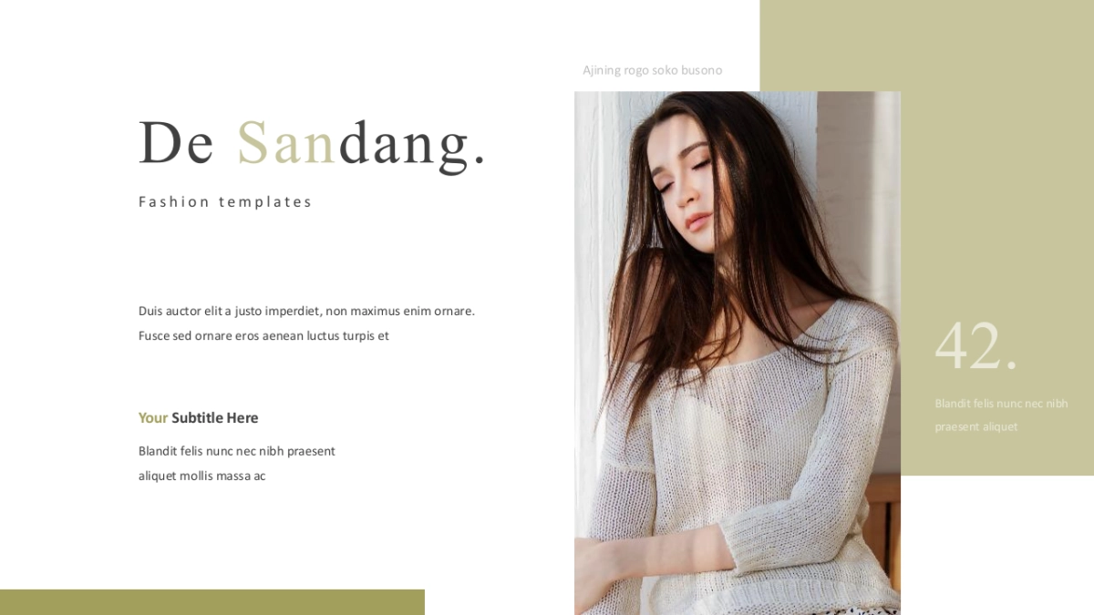 高端莫兰迪风格PPT模板3_第10页