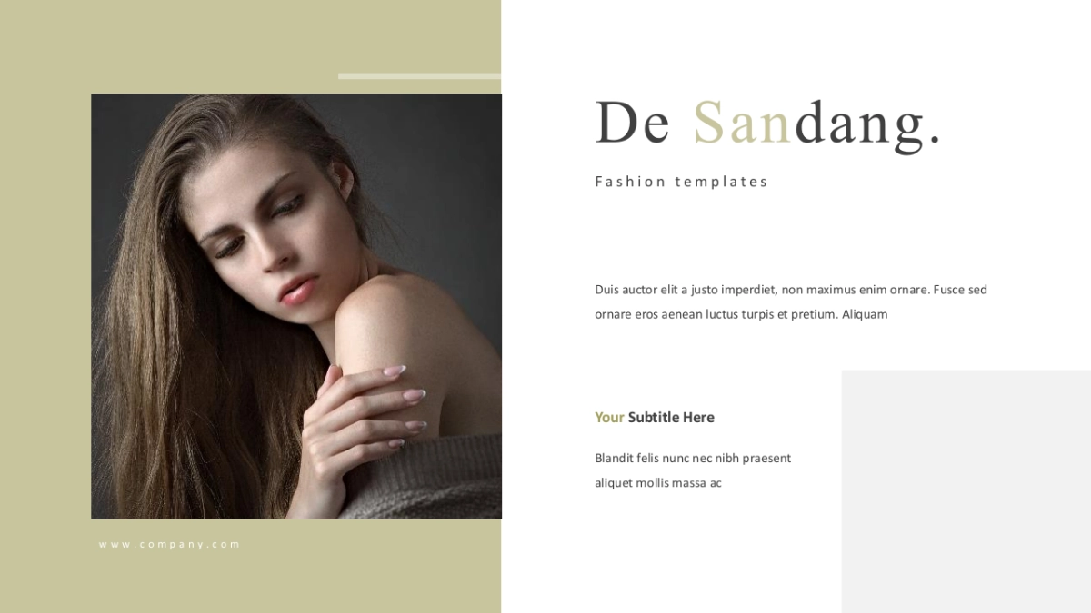 高端莫兰迪风格PPT模板3_第2页