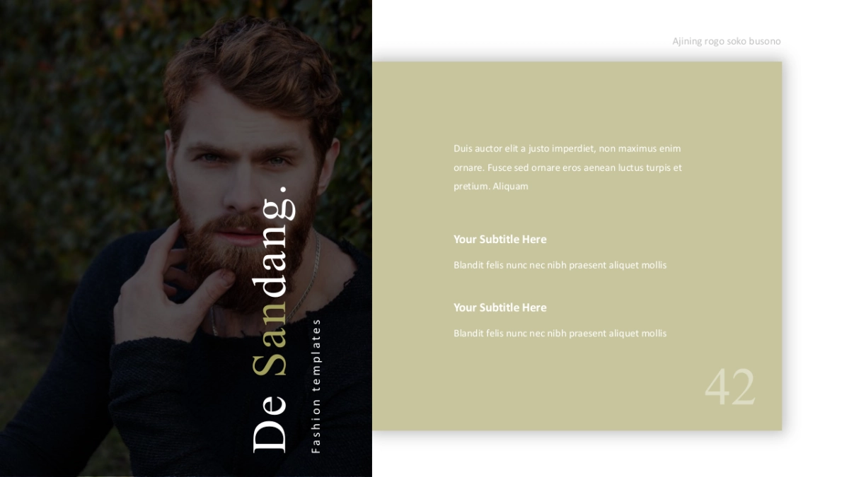 高端莫兰迪风格PPT模板3_第3页