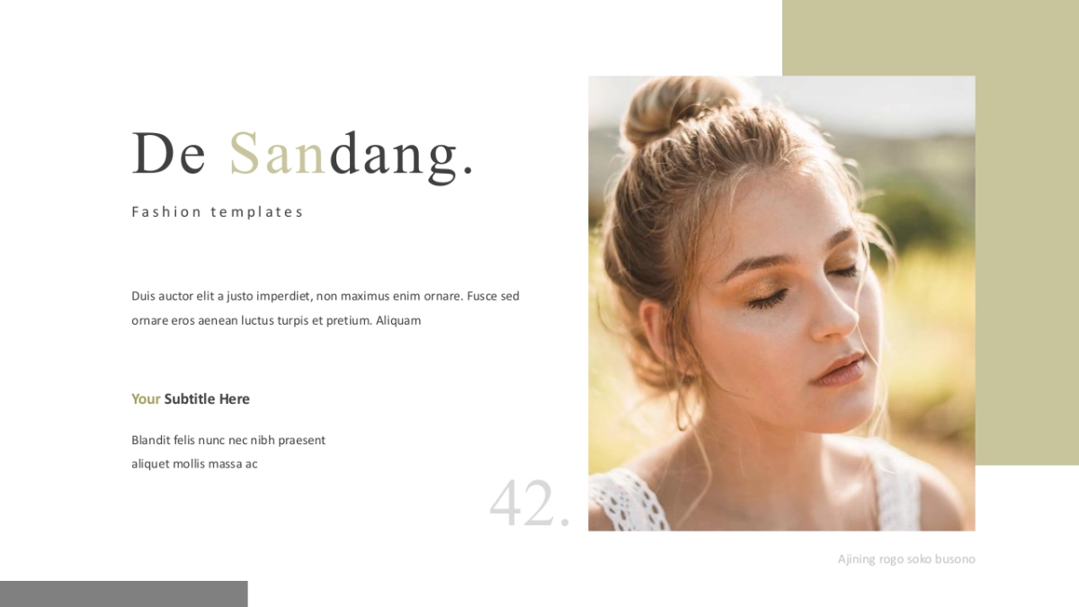 高端莫兰迪风格PPT模板3_第4页