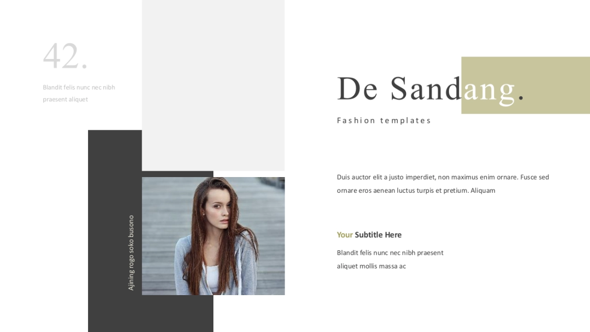 高端莫兰迪风格PPT模板3_第5页