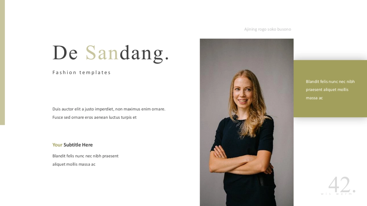 高端莫兰迪风格PPT模板3_第6页