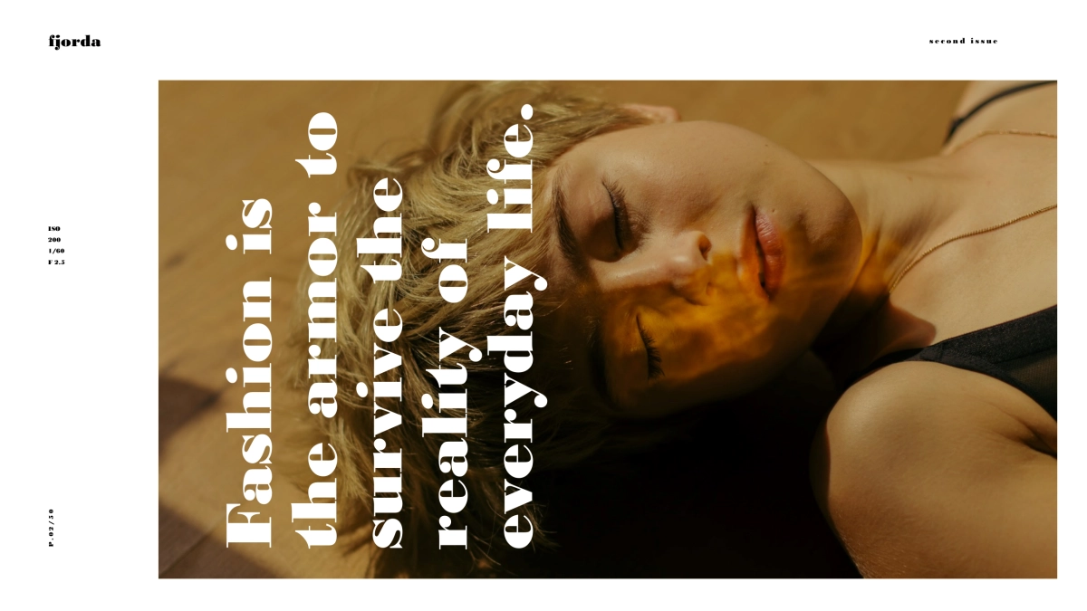 高端莫兰迪风格PPT模板4_第2页