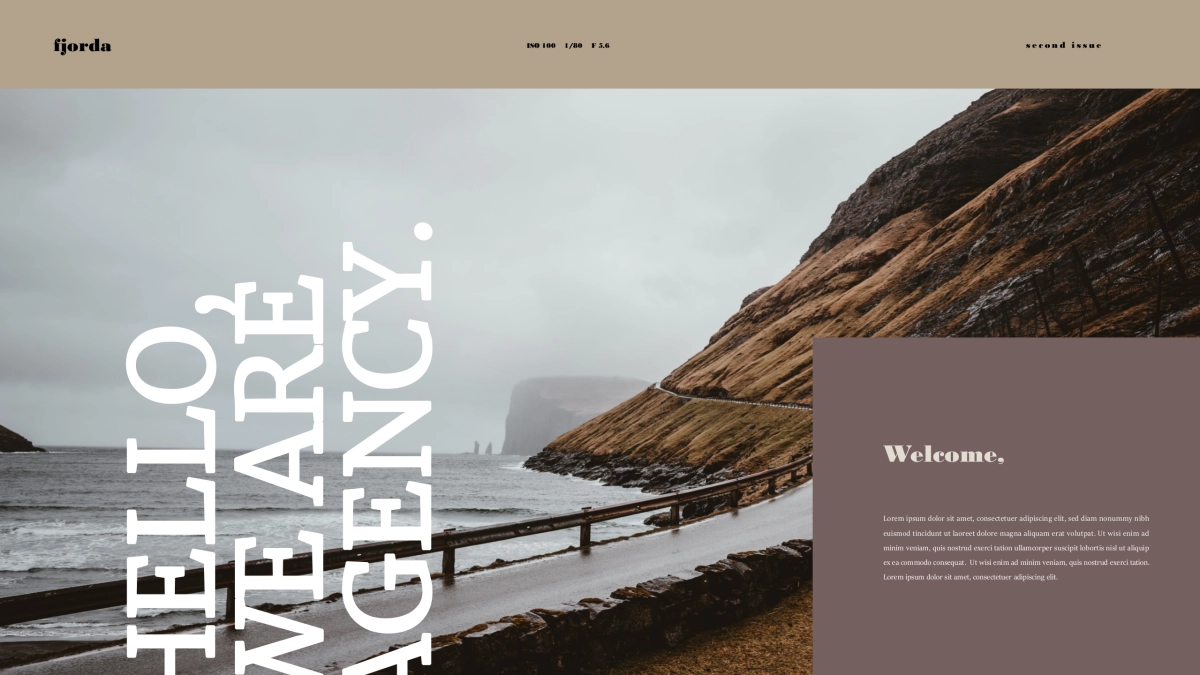 高端莫兰迪风格PPT模板4_第4页