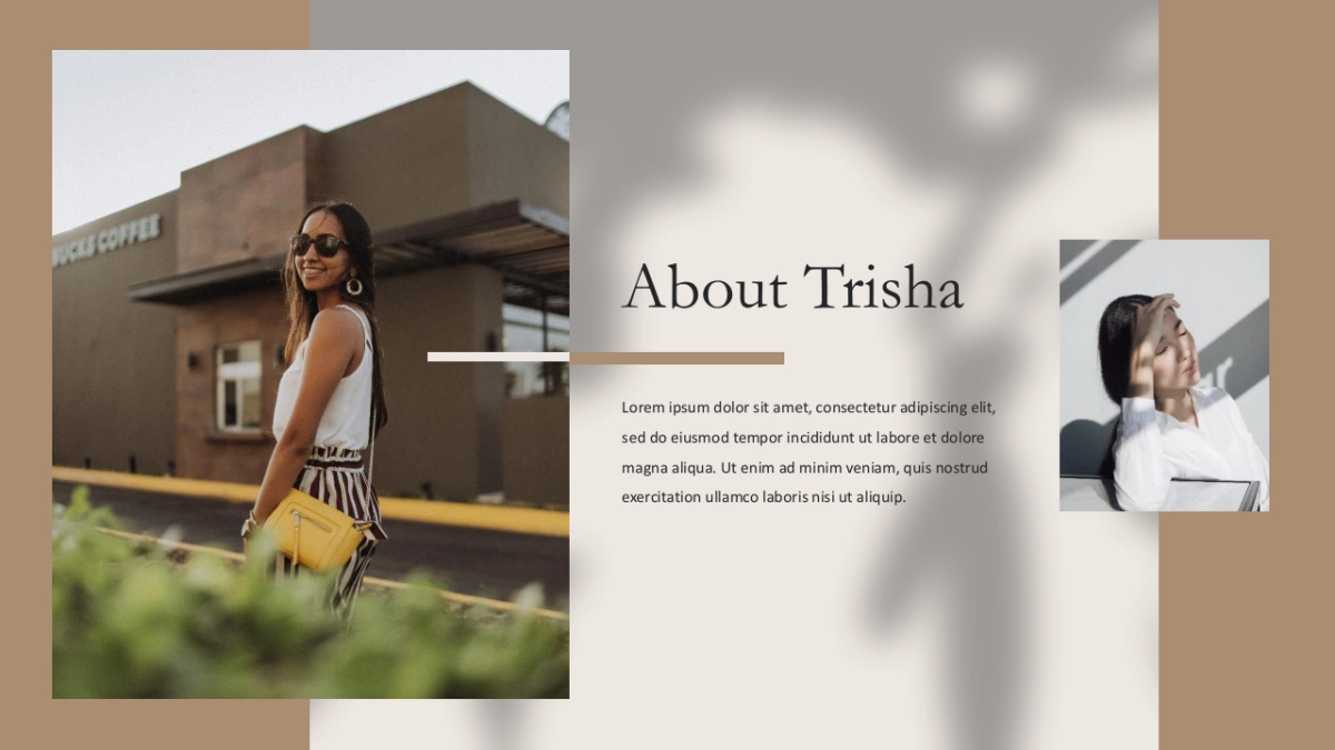 高端莫兰迪风格PPT模板13_第3页