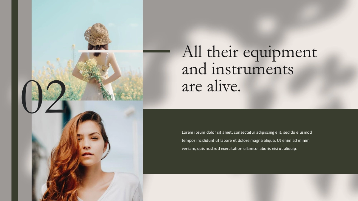 高端莫兰迪风格PPT模板13_第5页