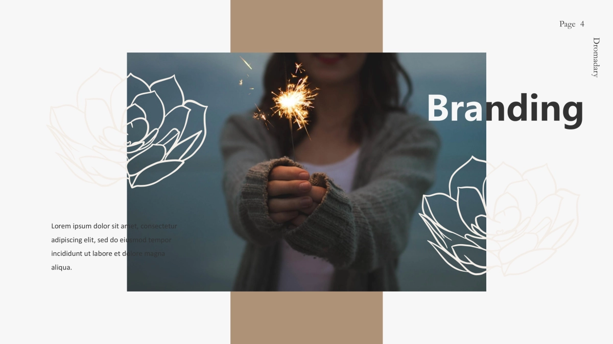 高端莫兰迪风格PPT模板16_第4页