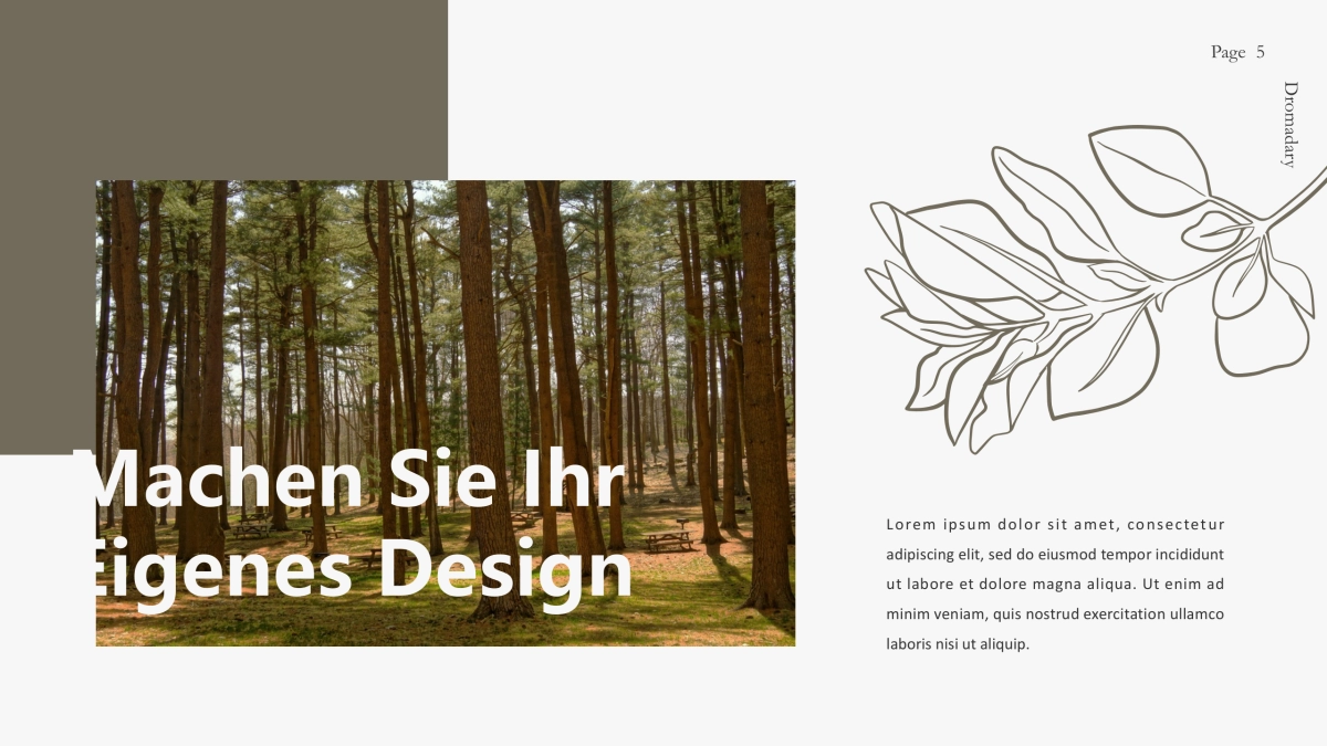 高端莫兰迪风格PPT模板16_第5页