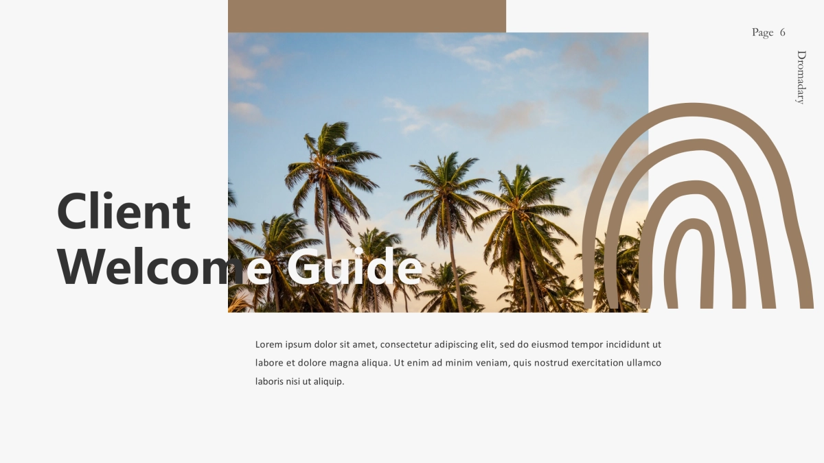 高端莫兰迪风格PPT模板16_第6页