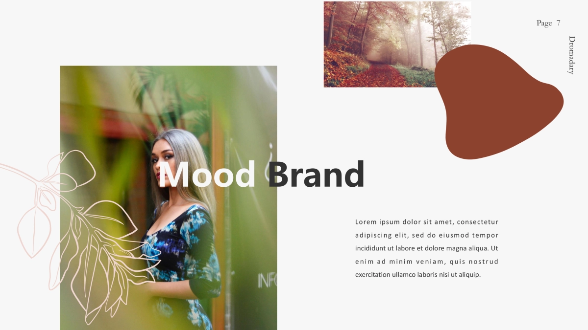 高端莫兰迪风格PPT模板16_第7页