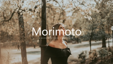 高端莫兰迪风格PPT模板16