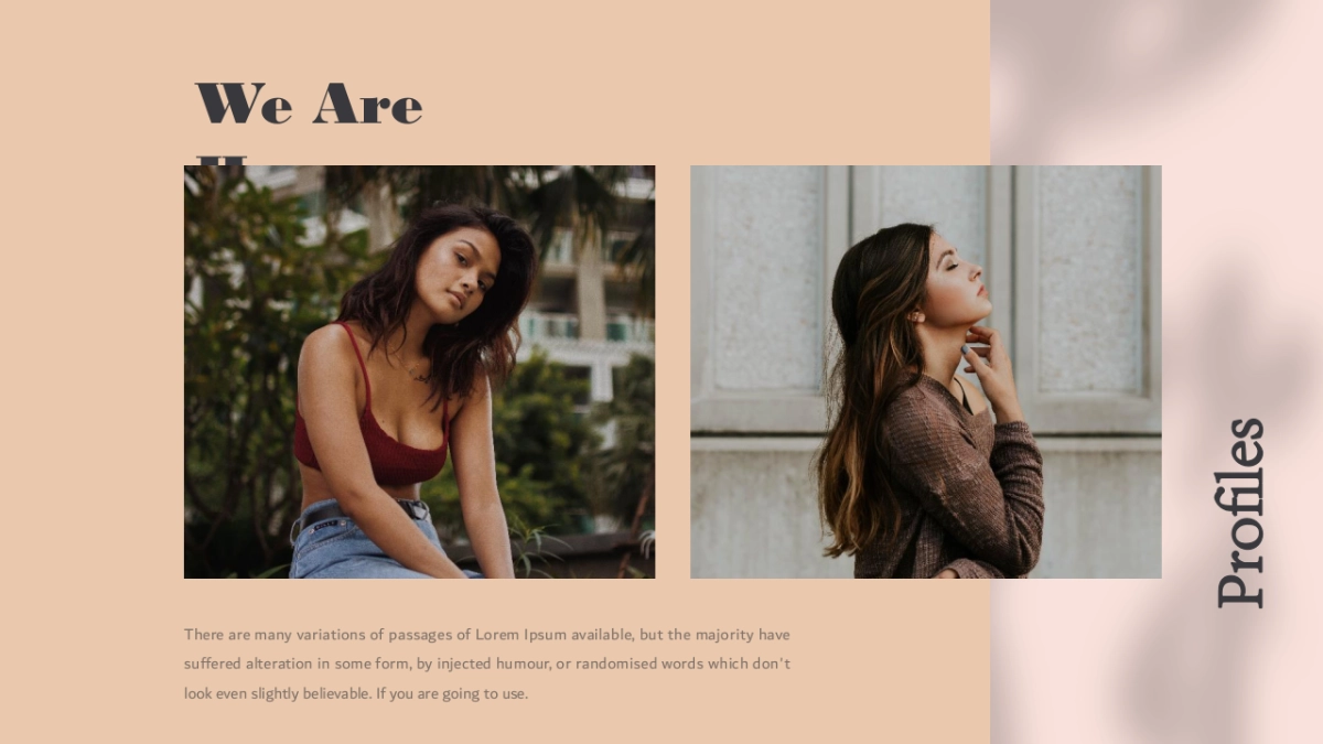 高端莫兰迪风格PPT模板17_第10页