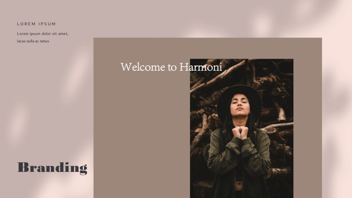 高端莫兰迪风格PPT模板17_第3页