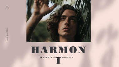 高端莫兰迪风格PPT模板17