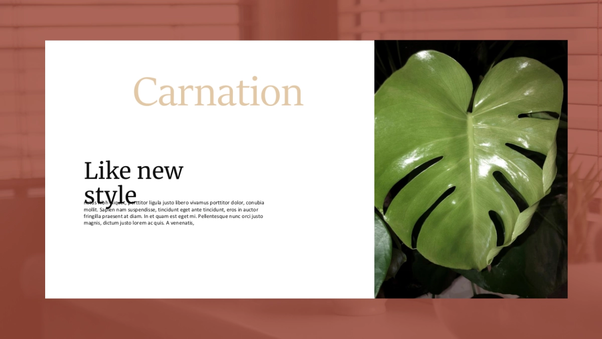 高端莫兰迪风格PPT模板18_第10页