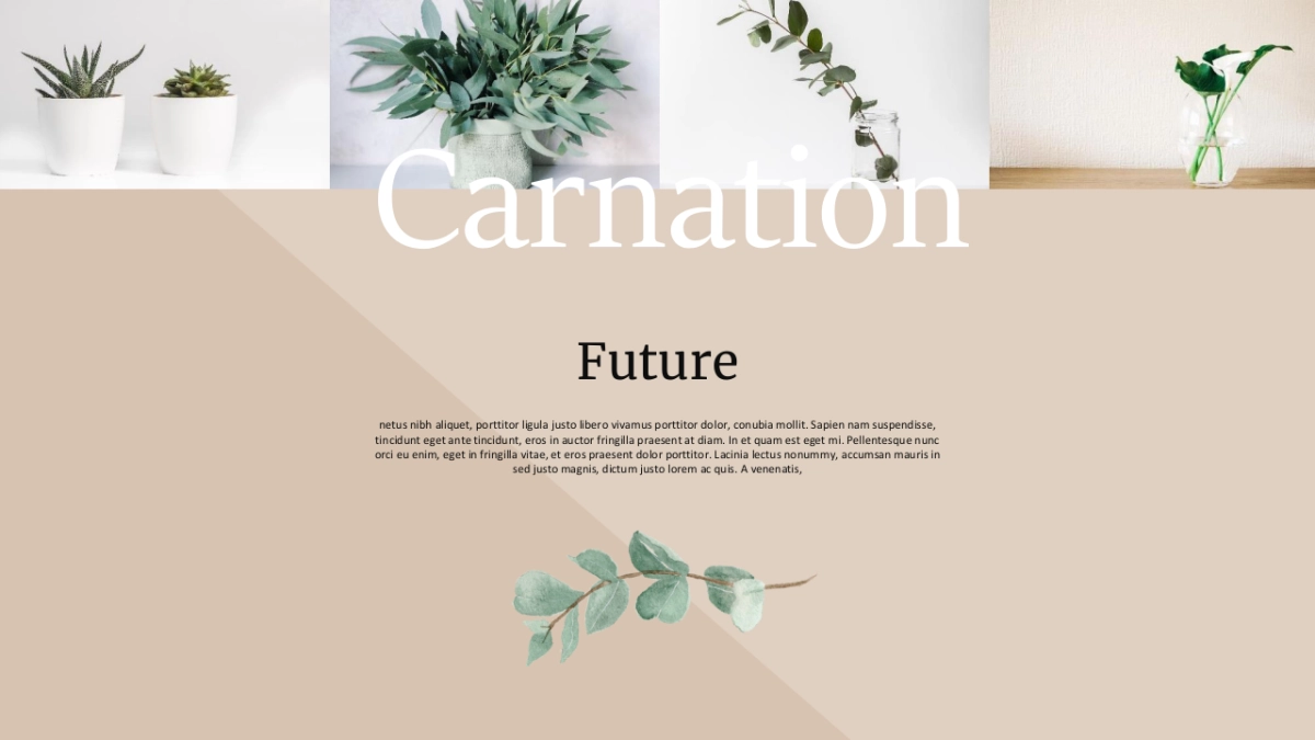 高端莫兰迪风格PPT模板18_第8页