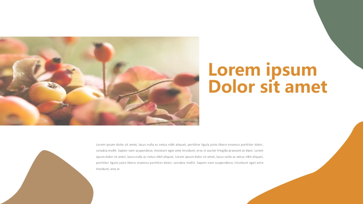 高端莫兰迪风格PPT模板19_第7页