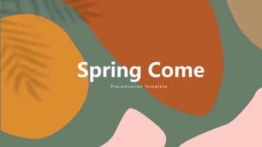 高端莫兰迪风格PPT模板19