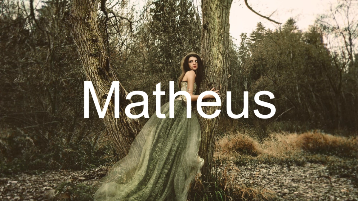 高端莫兰迪风格PPT模板20_第1页