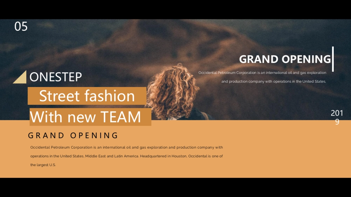 高端莫兰迪风格PPT模板21_第5页