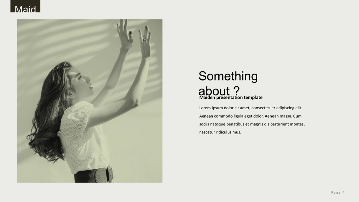 高端莫兰迪风格PPT模板23_第4页