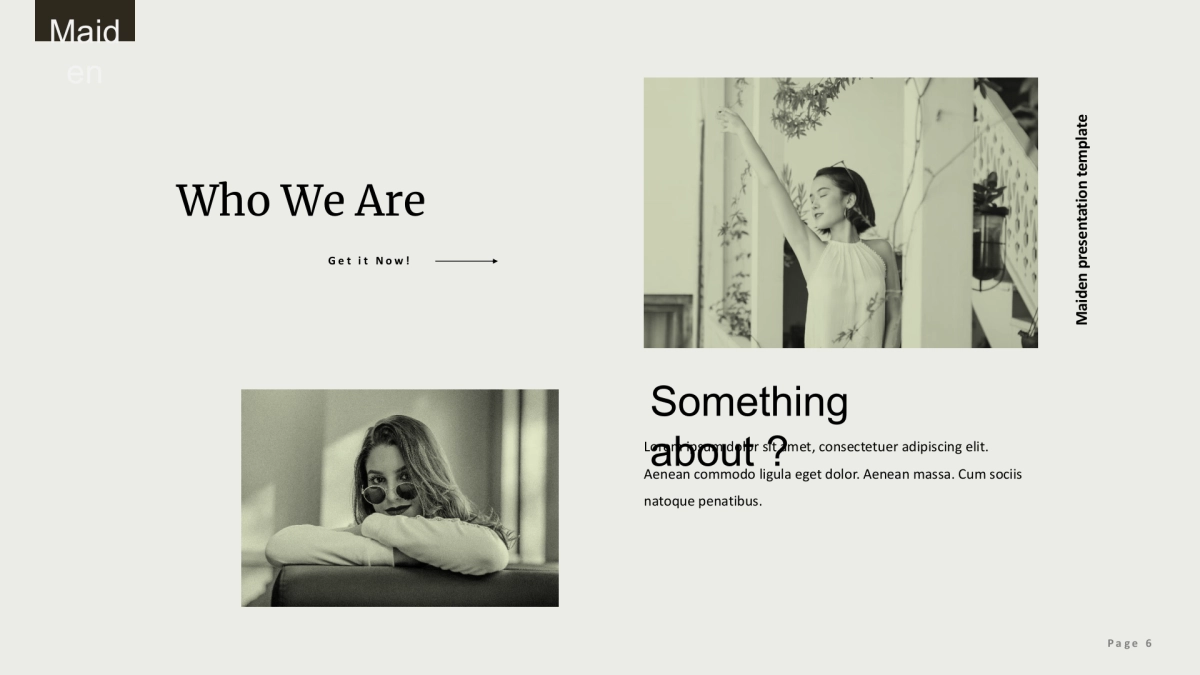 高端莫兰迪风格PPT模板23_第6页