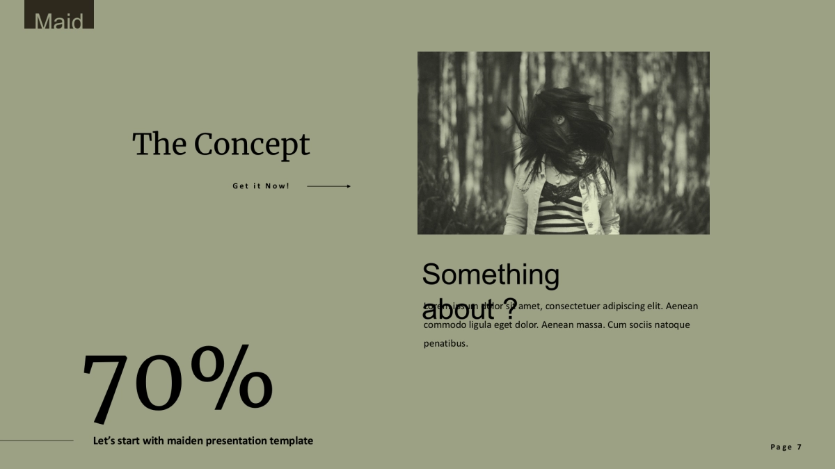 高端莫兰迪风格PPT模板23_第7页