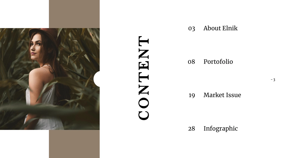 高端莫兰迪风格PPT模板25_第3页