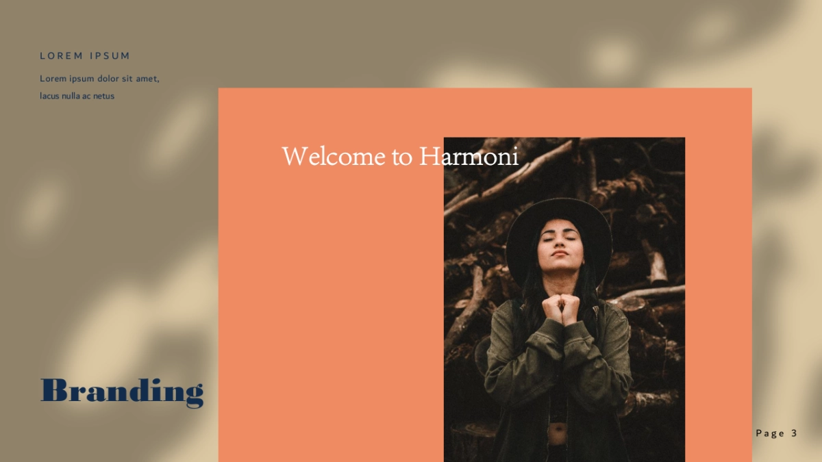 高端莫兰迪风格PPT模板28_第3页