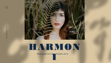 高端莫兰迪风格PPT模板28